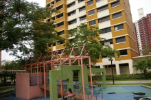 bukit-batok-street-22 photo thumbnail #9